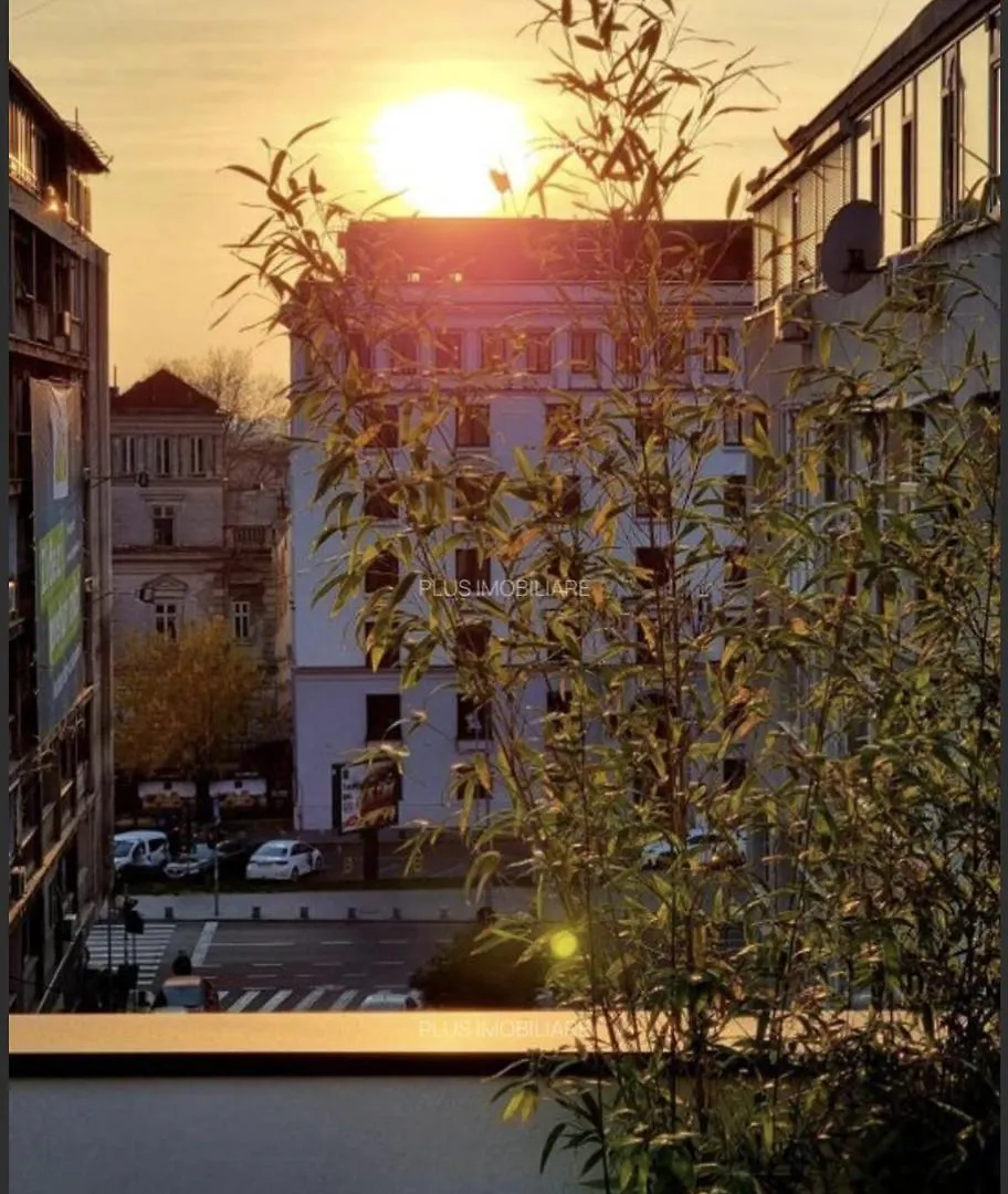Modern Oasis Apartment Bucharest